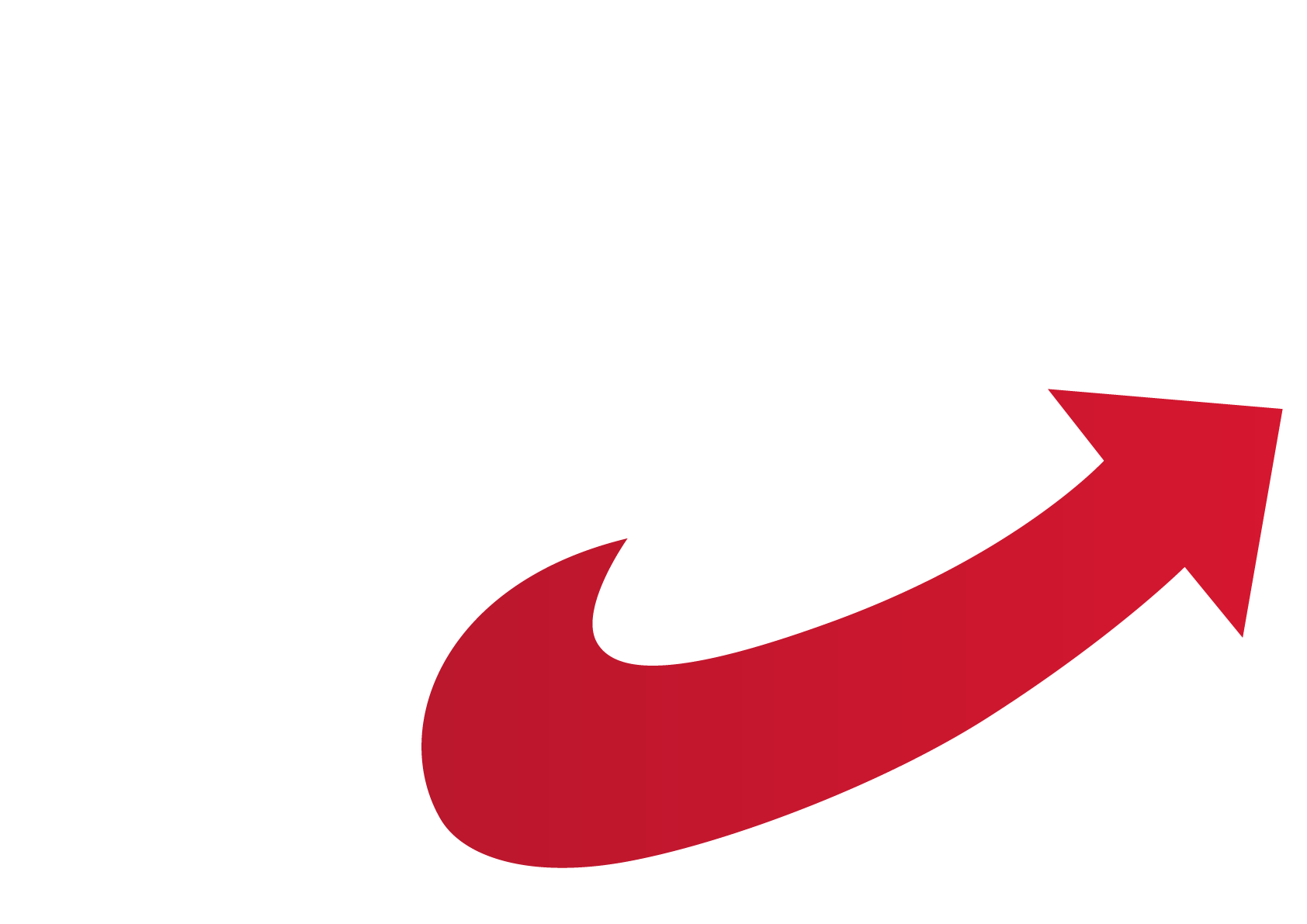 AfD Fraktion